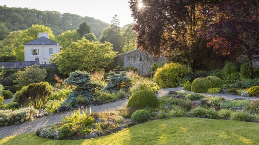A view of the Walled Garden at Colby Woodland Garden, Pembrokeshire. It has a path running through it, alongside which are densely planted borders and a large mature tree with dark red leaves.